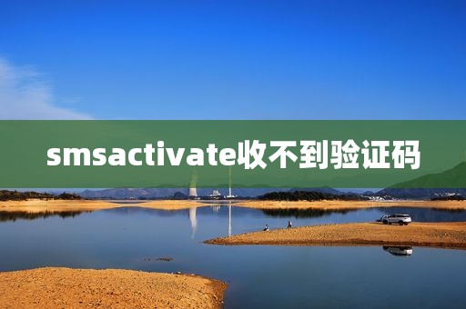 smsactivate收不到验证码