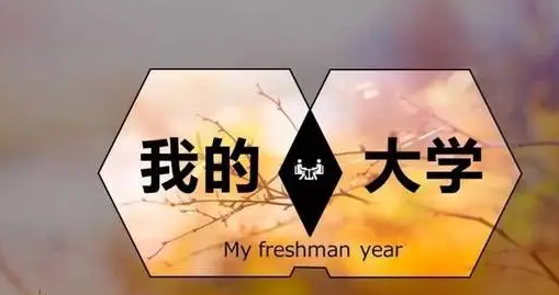 爱码网：校园里得树枯了