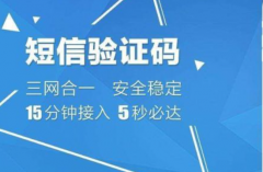 支付宝登录的手机验证码验证信息