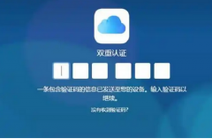 验证码短信接收延迟解决方案