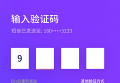 下载量破万的手机短信验证码软件的特点