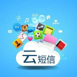 如何利用短信验证码接口进行沉睡用户唤醒？